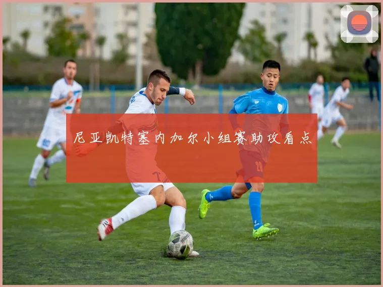 尼亚凯特塞内加尔小组赛助攻看点
