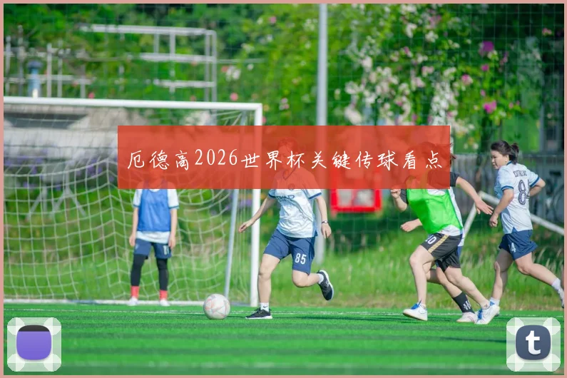 厄德高2026世界杯关键传球看点