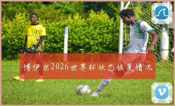 博伊尔2026世界杯状态恢复情况