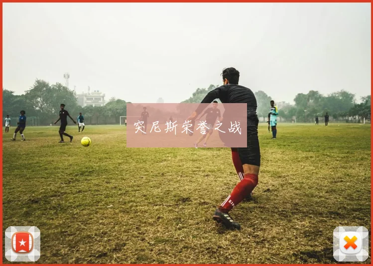 突尼斯荣誉之战