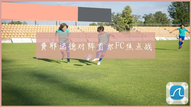 费耶诺德对阵首尔FC焦点战