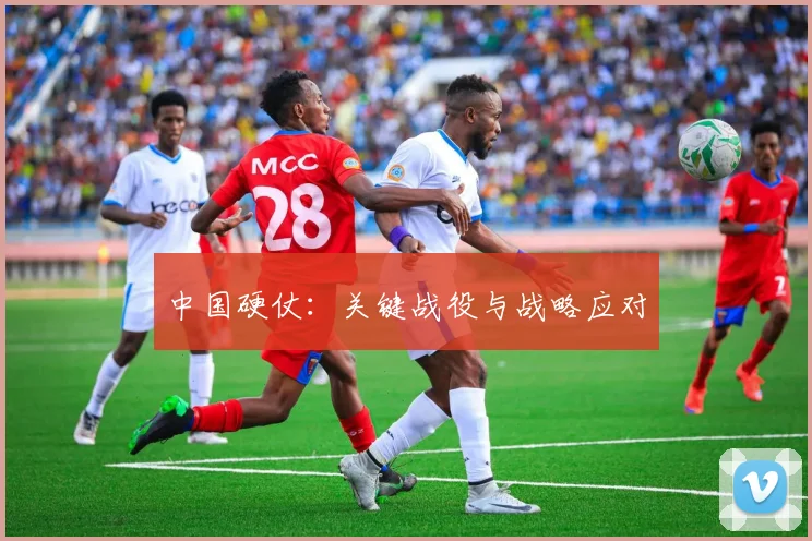 中国硬仗：关键战役与战略应对