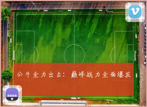 公牛全力出击：巅峰战力全面爆发