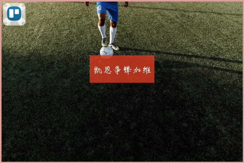 凯恩争锋加维
