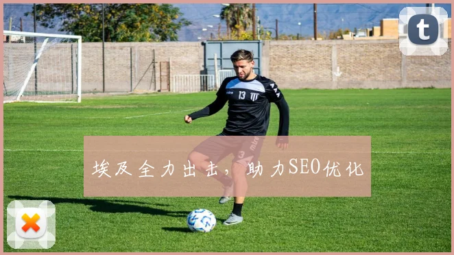 埃及全力出击，助力SEO优化