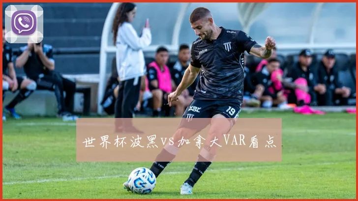 世界杯波黑vs加拿大VAR看点