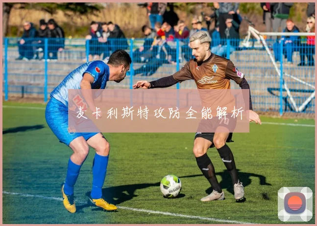 麦卡利斯特攻防全能解析