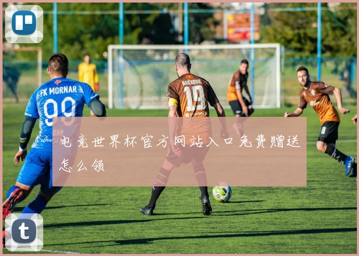 电竞世界杯官方网站入口免费赠送怎么领