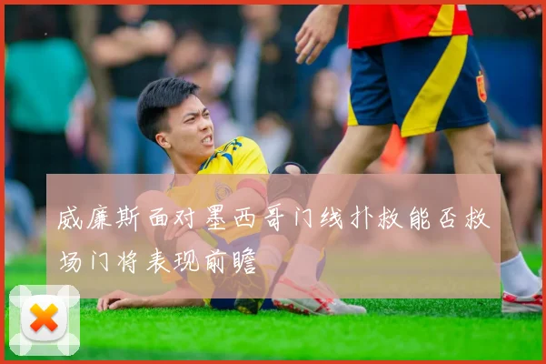 威廉斯面对墨西哥门线扑救能否救场门将表现前瞻